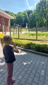 Dzień pełen wrażeń: Przedszkolaki w zoo!