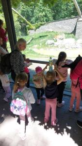 Dzień pełen wrażeń: Przedszkolaki w zoo!