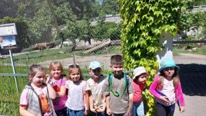 Dzień pełen wrażeń: Przedszkolaki w zoo!