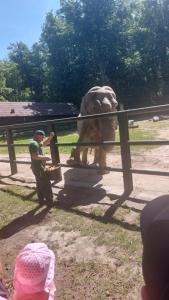 Dzień pełen wrażeń: Przedszkolaki w zoo!