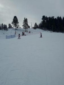 Ferie zimowe 2026