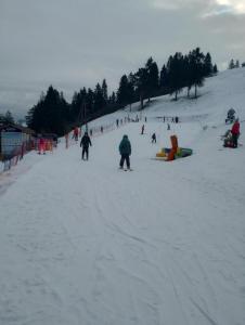 Ferie zimowe 2026