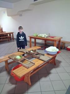 Warsztaty kl. II z kiszenia kapusty i pieczenia kruchych ciasteczek