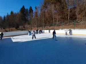 Wyjazd na lodowisko do Niedzicy