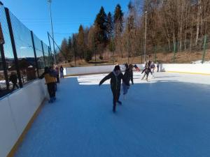 Wyjazd na lodowisko do Niedzicy