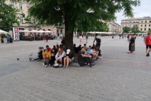 IMG 0678