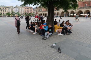 IMG 0679